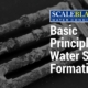 water scale removal