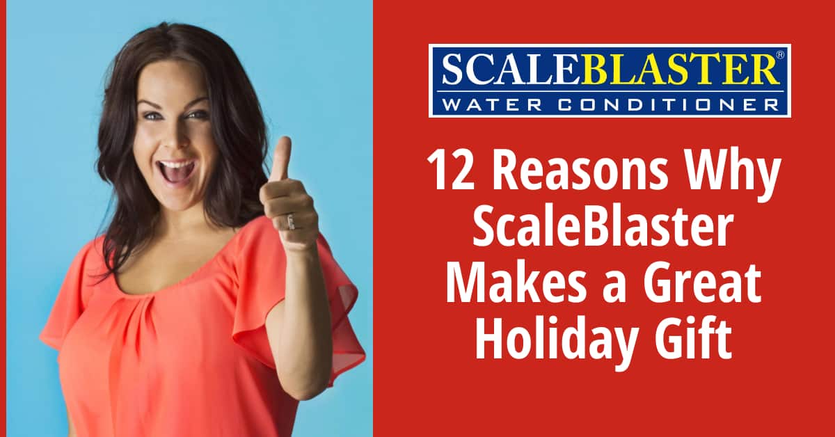 Continuing 12 Reasons Why ScaleBlaster Makes a Great Holiday Gift