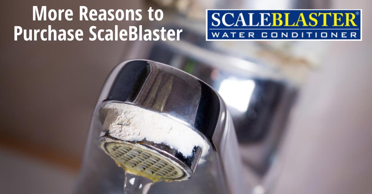 More Reasons to Purchase ScaleBlaster 